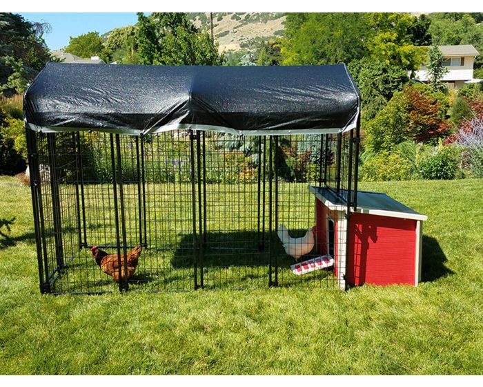 Value Chicken Coop With 4 X 8 Chicken Run Basic