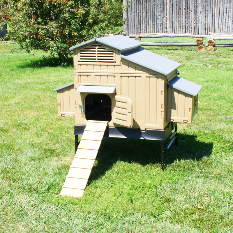 Lovely Chicken Coop Storage Bins At Zj96 Advancedmassagebysara